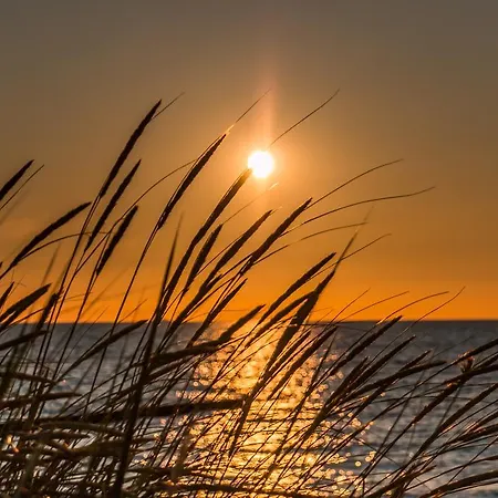 Haus Nordlicht 3* Ahrenshoop